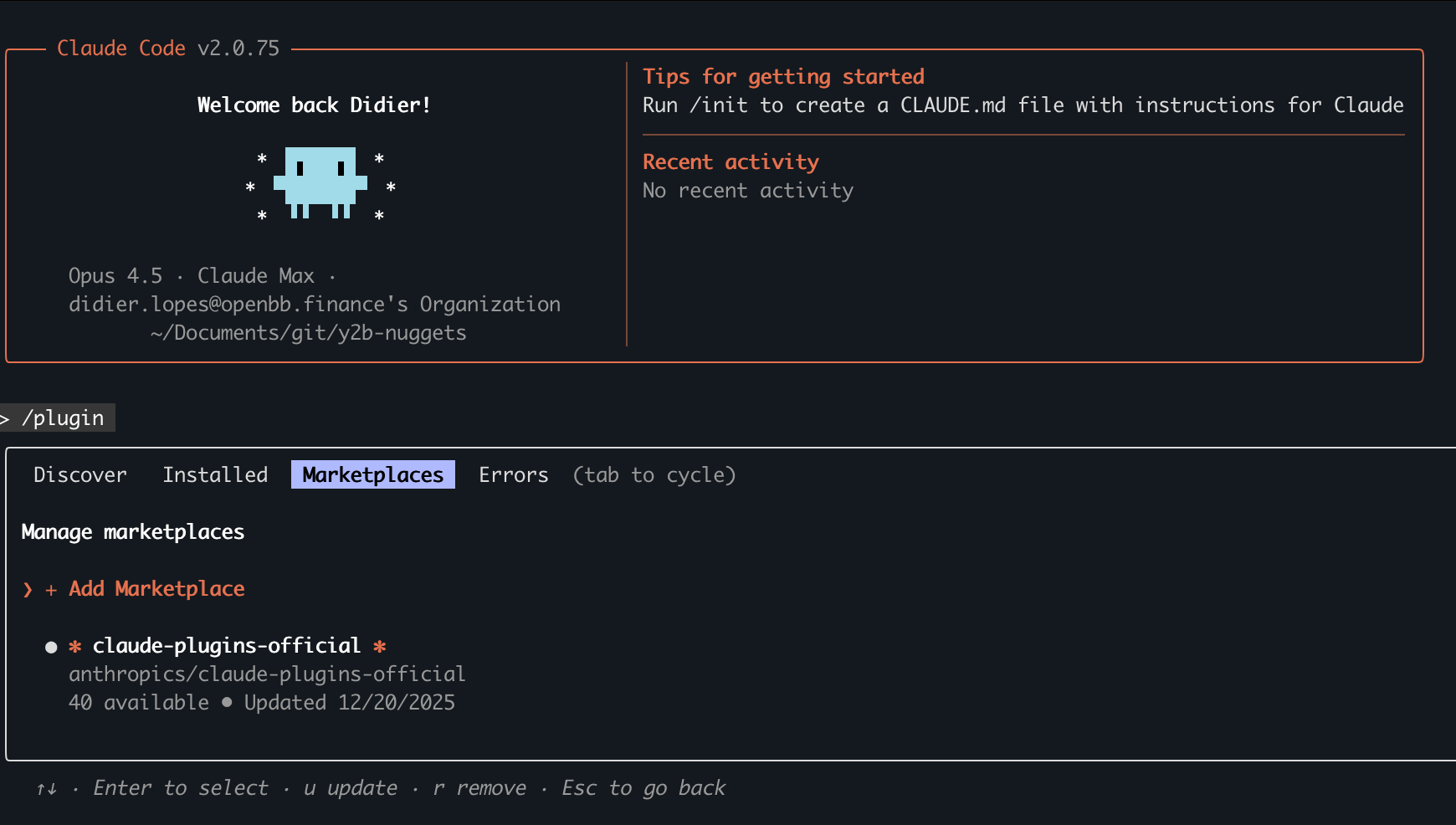 Plugin command in Claude Code