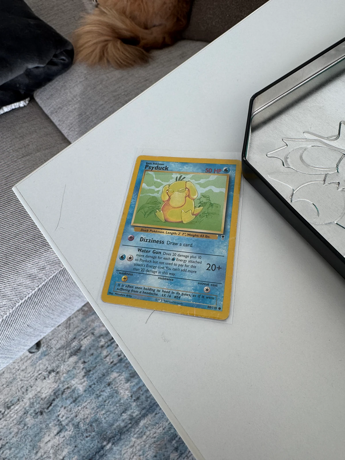 Pokemon card at a weird angle with dog tail in corner